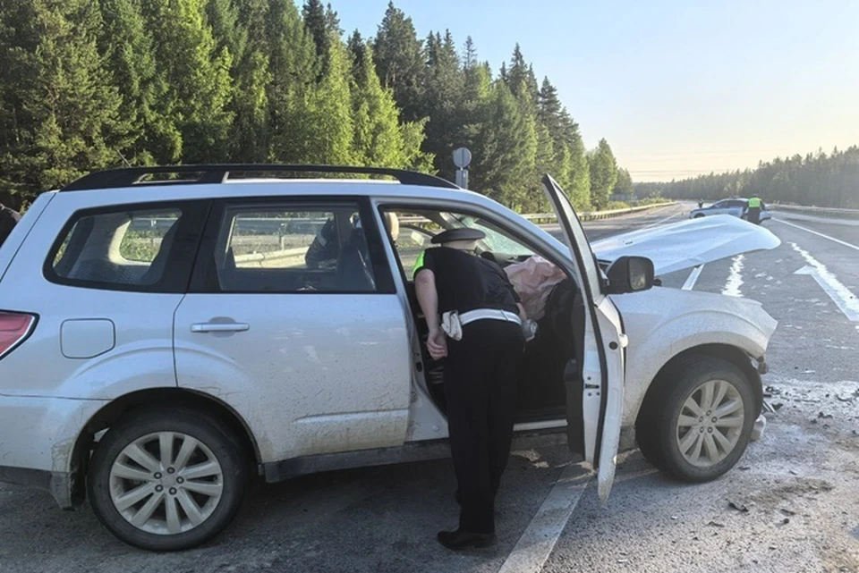 Фото: Госавтоинспекция Свердловской области