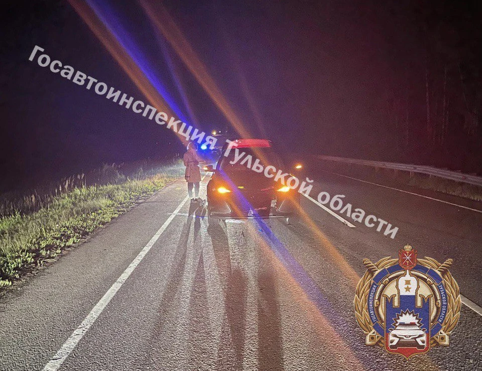 На трассе под Тулой насмерть сбили пешехода