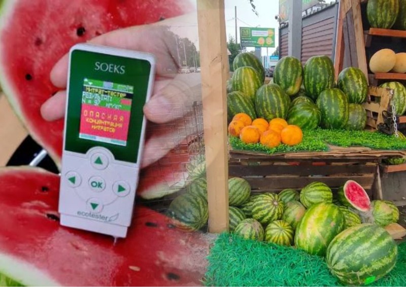 Арбуз, дыня и свёкла исключены из списка овощных продуктов, контролируемых ANSA на предмет содержания нитратов. Фото: коллаж КП