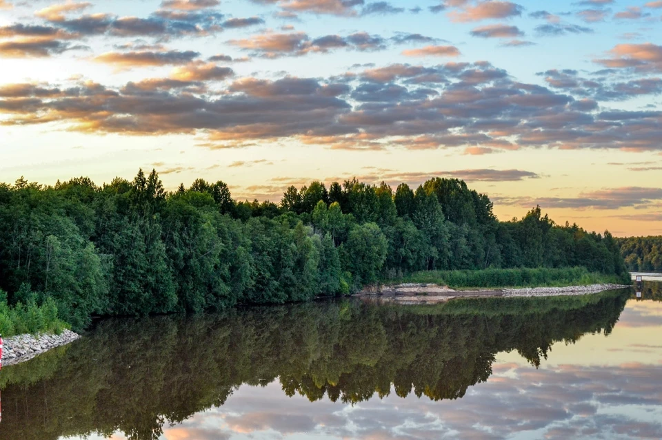 Четыре человека погибли после съезда легковушки в реку Пьяна.