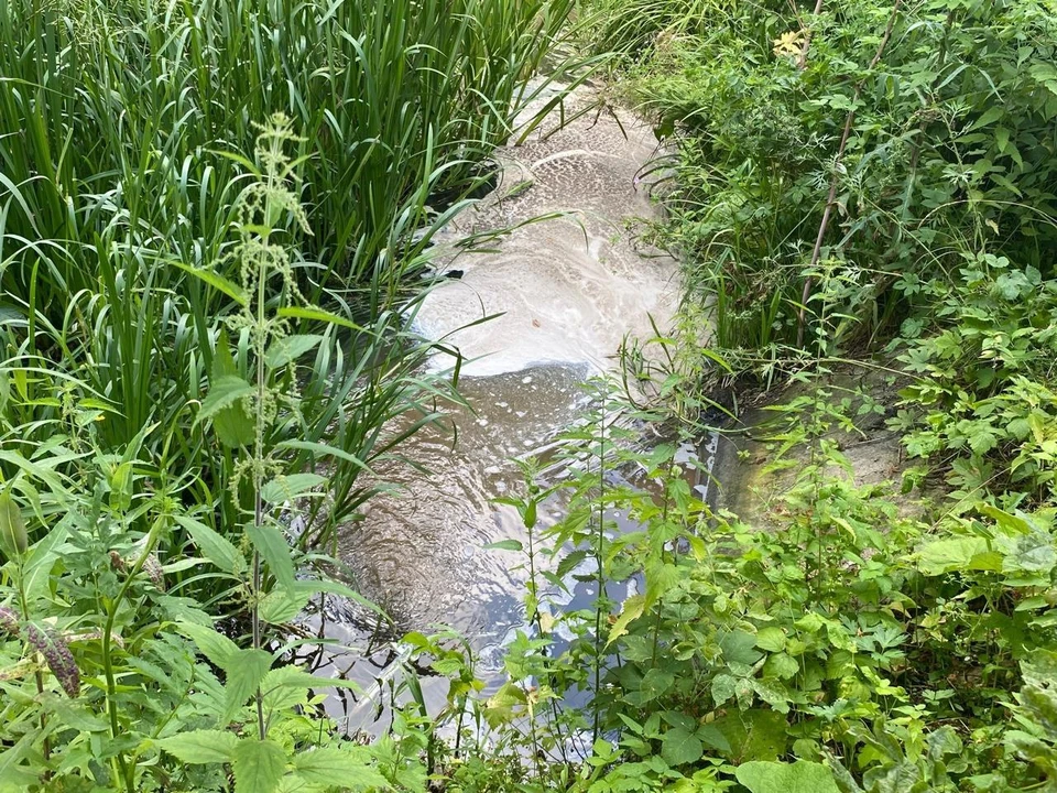 Так выглядит вода в одной из загрязненных рек.