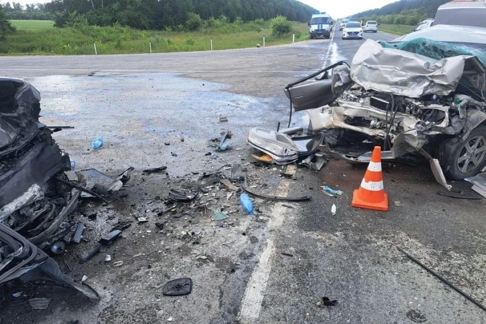Пострадавшую в ДТП годовалую девочку вертолетом доставили в Новосибирск. Фото: ГАИ Новосибирской области