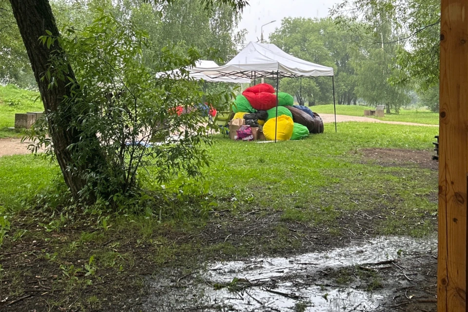 Невезуха для зооволонтёров в плане погоды. Фестиваль «С собакой – нужно!» переносят. Фото: соцсети Инициативной группы по защите животных.