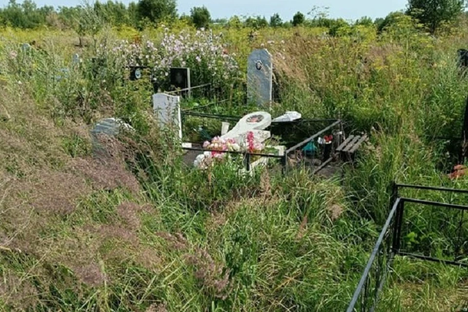 Ярославцы насчитали около 40 упавших памятников. ФОТО: телеграм-канал "Жесть Ярославль"