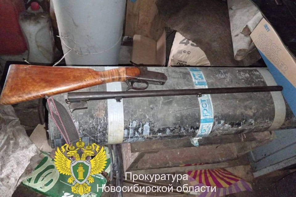 Новосибирец получил условный срок после того, как нашел оружие в лесу и подарил его племяннику. Фото: прокуратура Новосибирской области