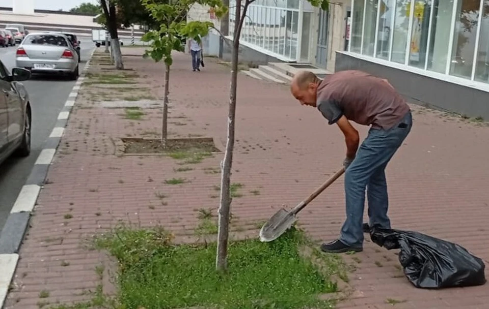 Почву у 70 деревьев на Гончарова в Ульяновске очистили от сорных растений. ФОТО: тг-канал Центра по благоустройству и озеленению Ульяновска