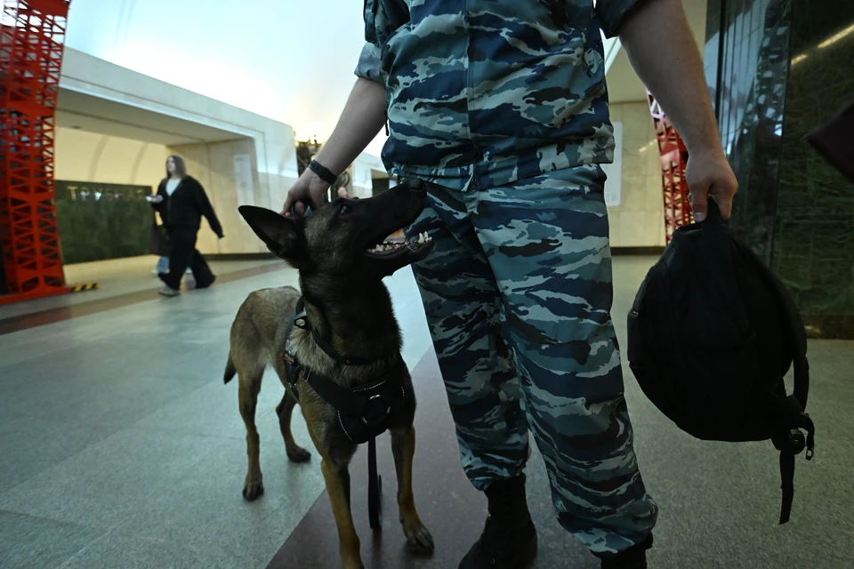 Ряд ограничений ввели в Северной Осетии из-за угроз для военных