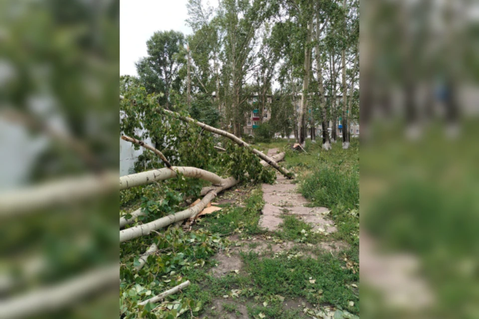 В Зиминском районе третий день устраняют последствия ураганного ветра. Фото: Мария Белоножко.
