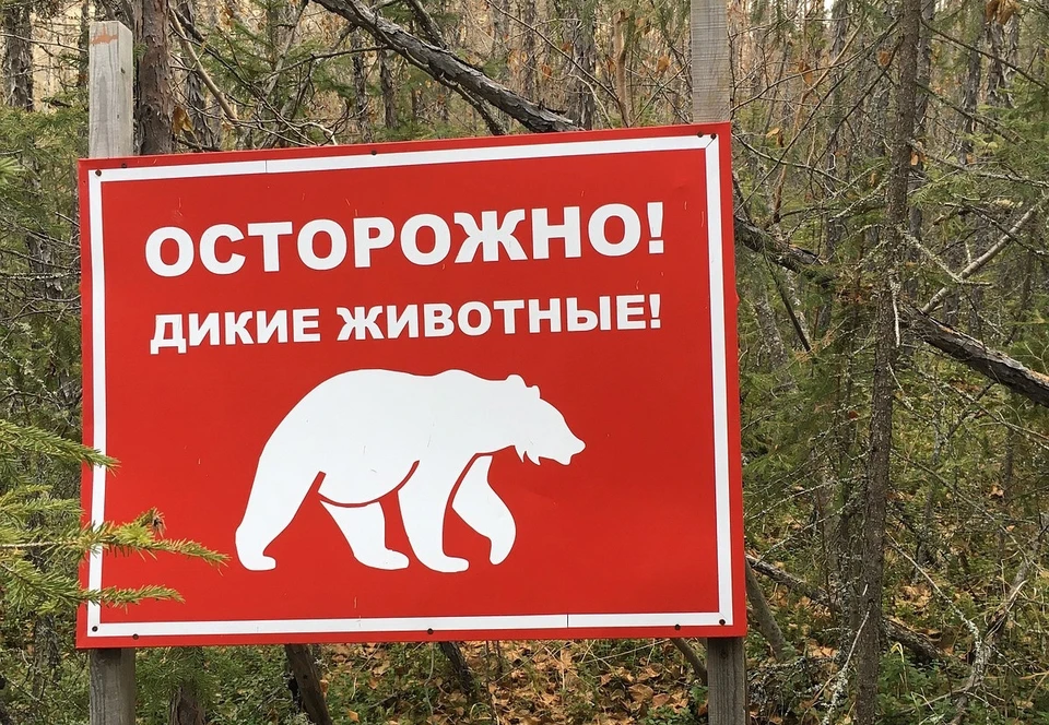 Фото: фотоархив КП.