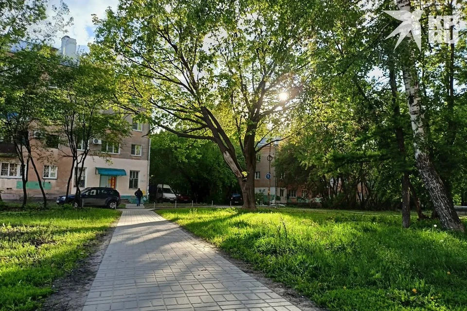 Зеленую зону улицы Пушкина в Рязани благоустроят за 16 млн рублей.