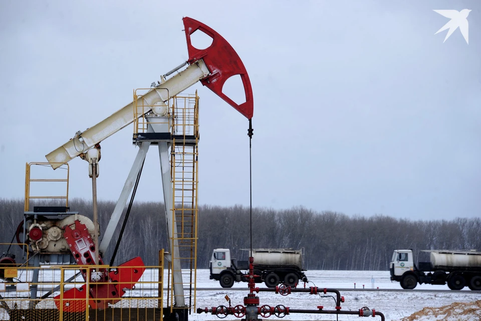 «Белоруснефть» заявила, что 56% запасов углеводородов в Беларуси трудноизвлекаемые. Фото носит иллюстративный характер.