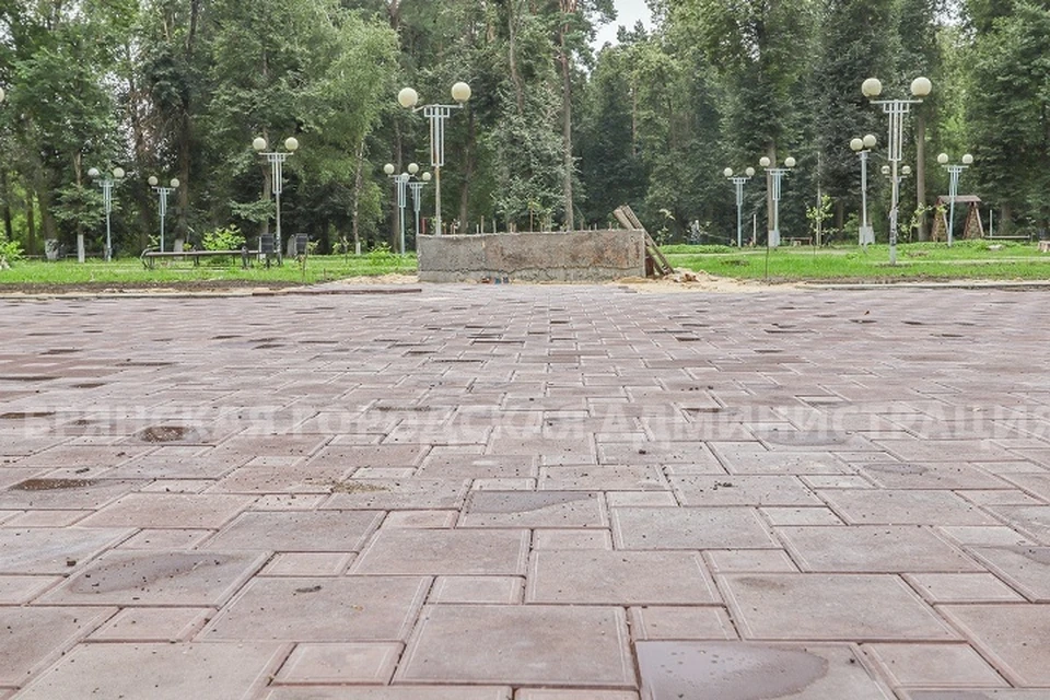 Фото: пресс-служба Брянской городской администрации.