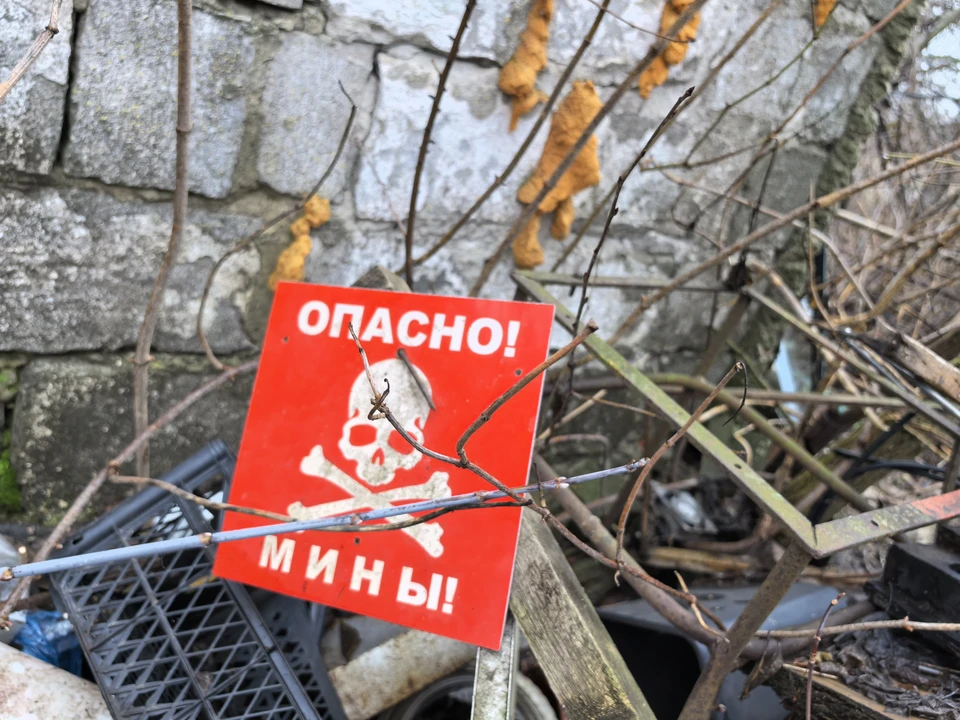 С начала 2025 года обезврежено 208 взрывоопасных предметов
