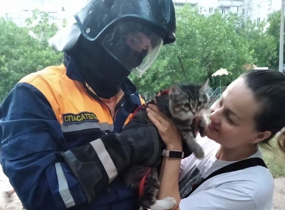 Фото: УГЗ