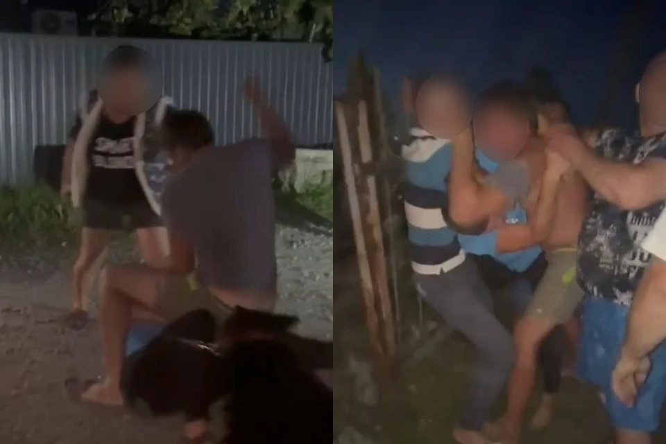 У женщины внутриутробно умер ребенок после драки в СНТ под Новосибирском. Фото: кадры из видео, предоставленного КП-Новосибирск