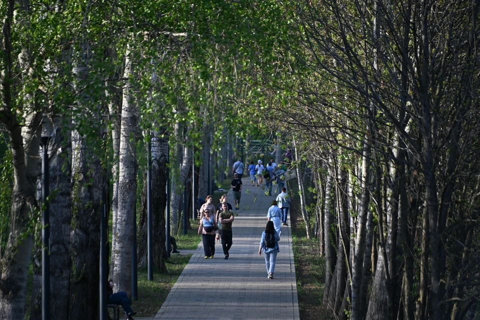 В Новосибирске появилась вакансия для любителей прогулок.