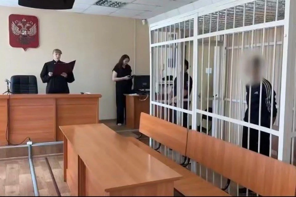 Подростки, которые подожгли лес в Забайкалье, помещены под стражу. Фото: СК России