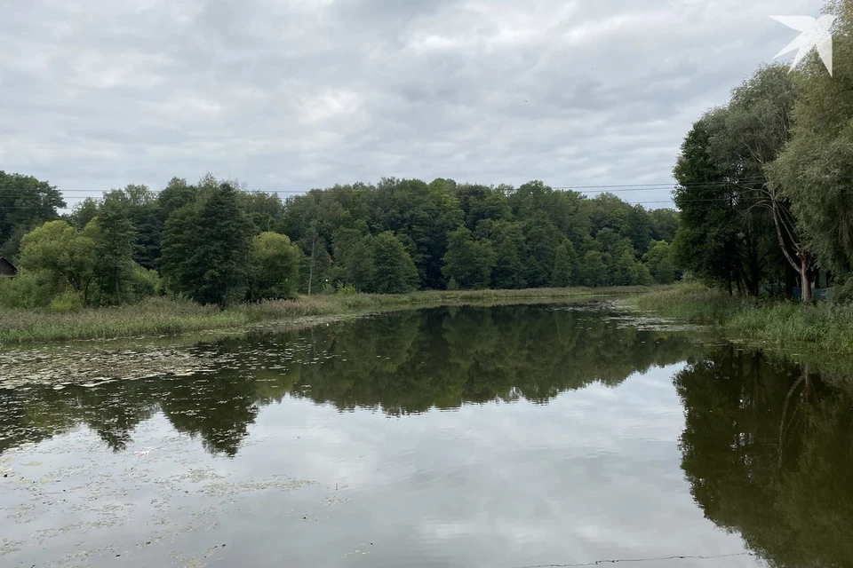 Экологи назвали предварительные причины гибели рыбы в пруду Ведрица в Червенском районе. Снимок носит иллюстративный характер. Фото: архив «КП»