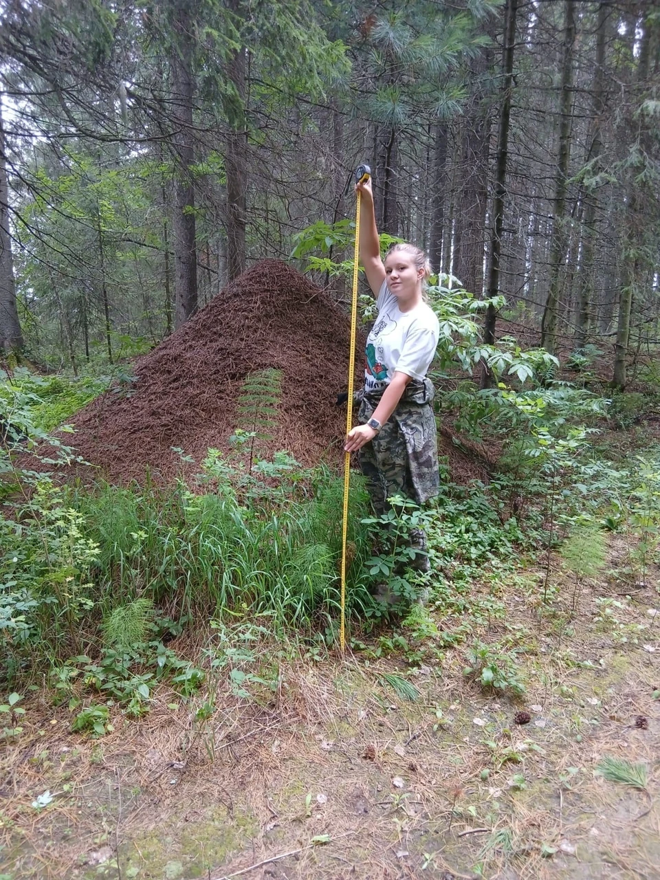 Фото: природный парк «Самаровский чугас»