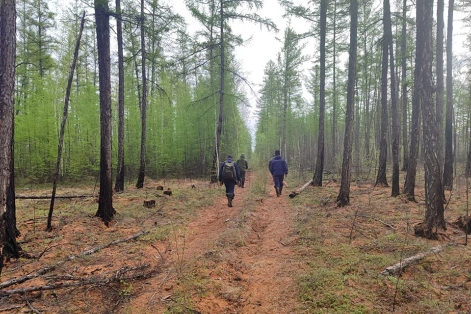 Возобновлены поиски пропавшей почти две недели назад женщины. Фото: Служба спасения РС (Я)
