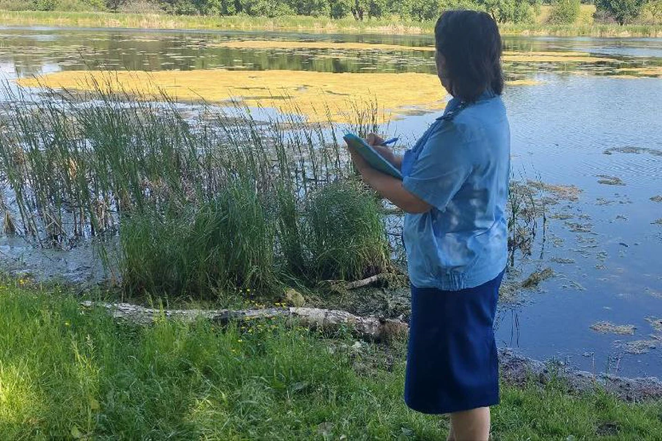 Фото: прокуратура Челябинской области