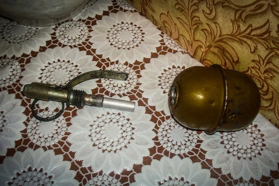 Две боевые гранаты пришлось изымать в два приема у жителя Бердянска. Фото: Запорожский областной суд