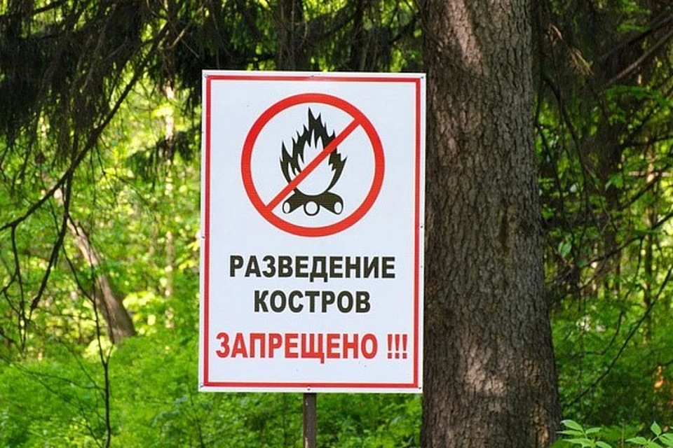В Сочи напомнили о запрете разведение костров из-за высокой пожароопасности. Фото: пресс-служба мэрии города