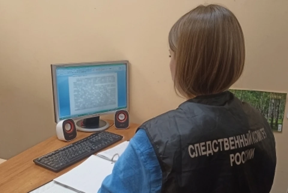 Фото: пресс-служба СУ СКР по Брянской области.