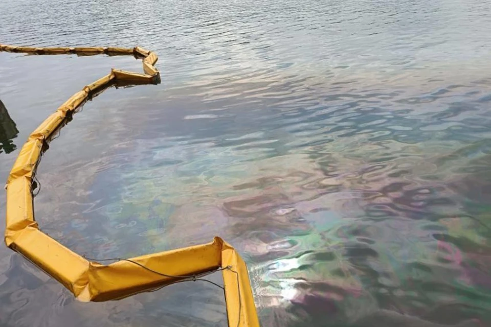 Минприроды обнародовало результаты проверки воды из реки Свислочь в Минске после утечки нефтепродуктов. Фото: телеграм-канал Минприроды Беларуси