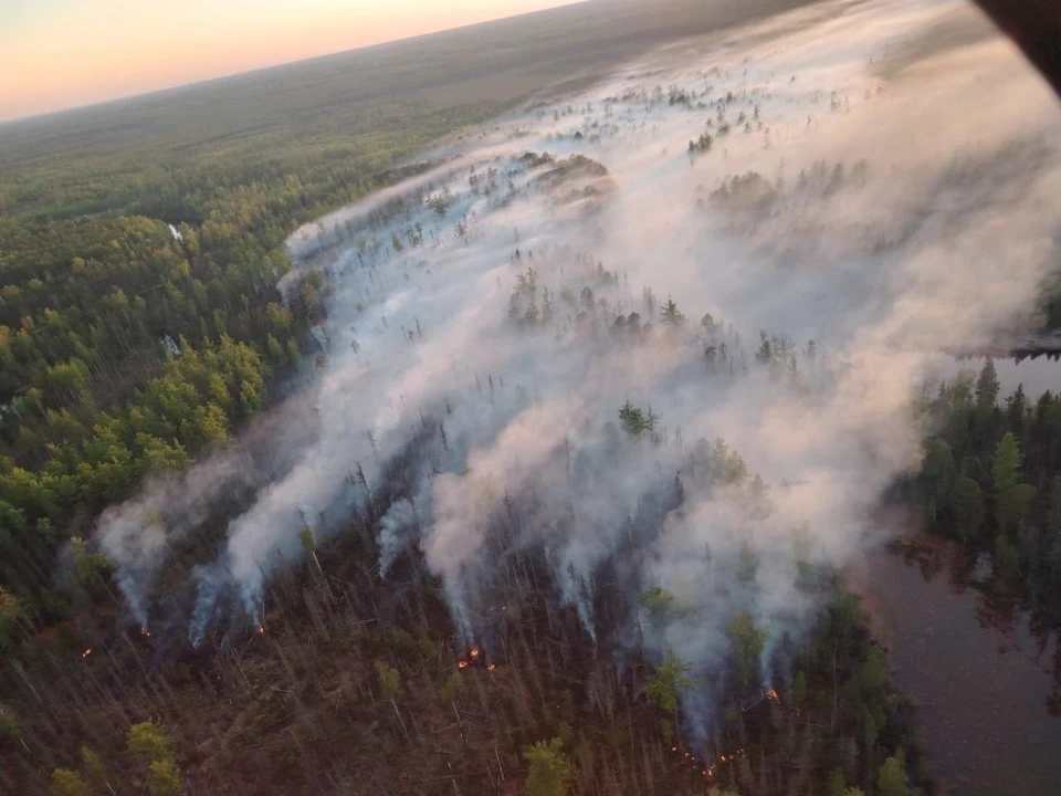 Фото: лесопожарный центр Красноярского края