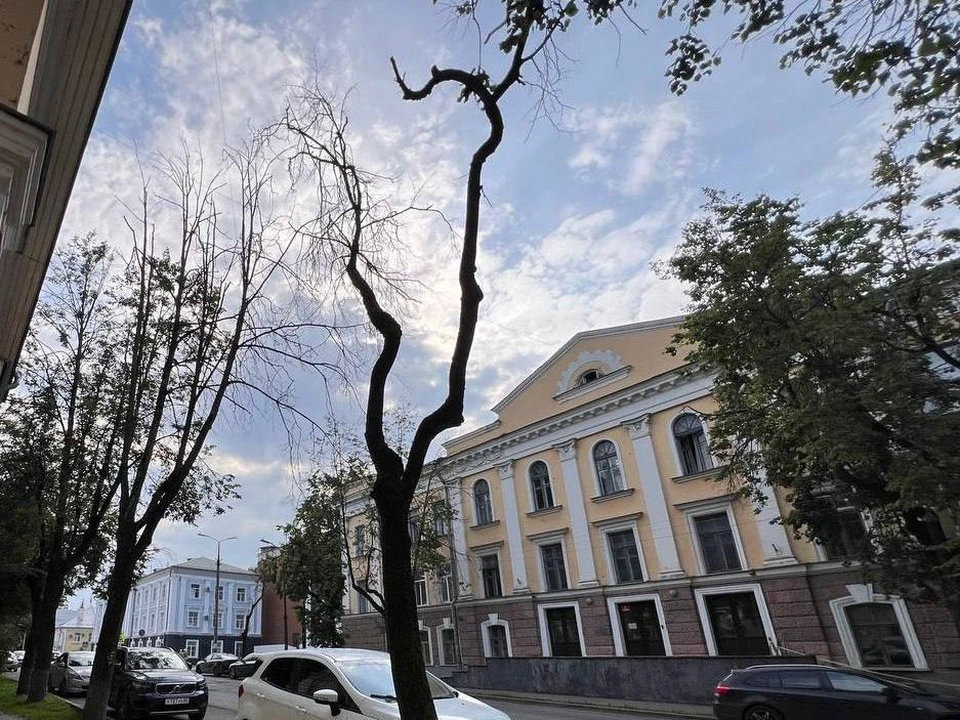 Фото: соцсети Бориса Елкина.