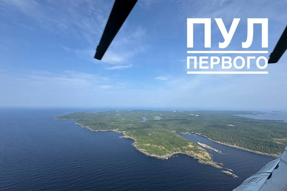 Лукашенко снова встретится в России с Путиным. Фото: телеграм-канал «Пул Первого».