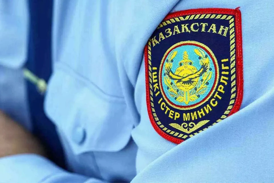 Источник: polisia.kz