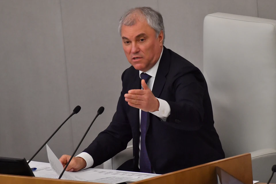 Володин считает наказание за осквернение воинских захоронений справедливым