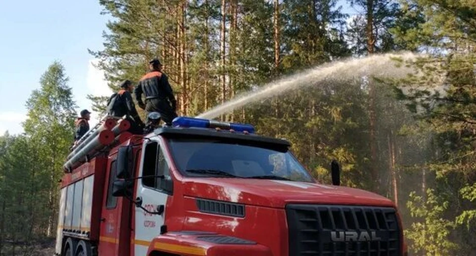 Фото: администрация Костромской области