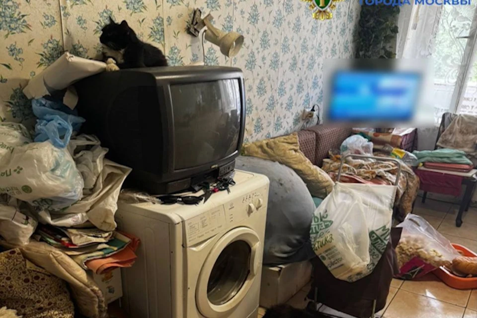 Прокуратура потребовала запретить москвичу держать кошек из-за антисанитарии