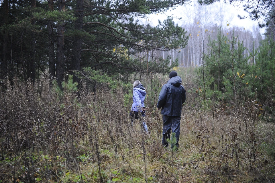 14-летнюю девочку четыре дня не могут найти в Нижегородской области.
