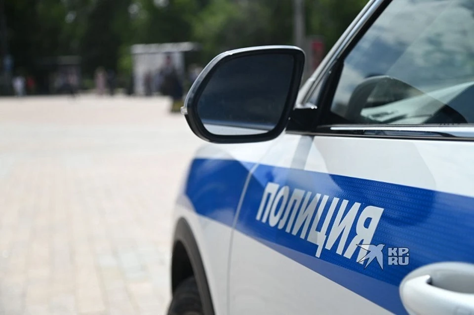 Статья предусматривает наказание в виде лишения свободы до трех лет