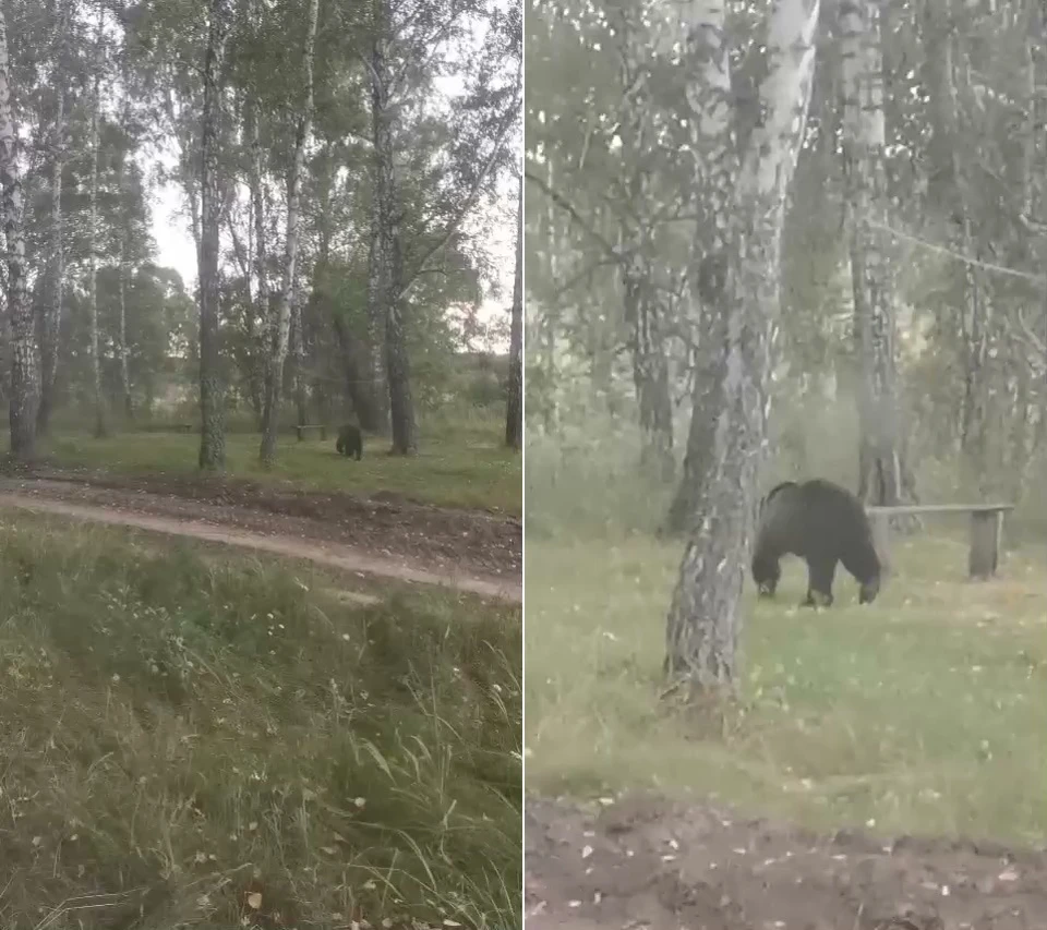 Руслан Эюбов