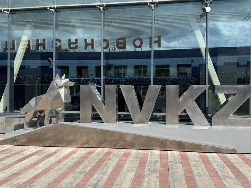 Волк из аэропорта Новокузнецк скоро обретет свое имя. Фото - соцсети.