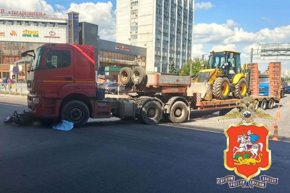 Фото: ГУ МВД России по Московской области