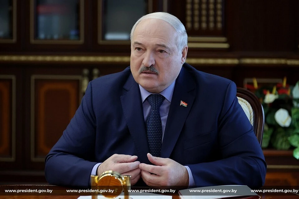 Лукашенко видит большой потенциал для расширения взаимодействия Беларуси и Кот-д'Ивуара. Фото: архив president.gov.by.