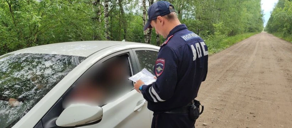 Фото: Госавтоинспекция Костромской области