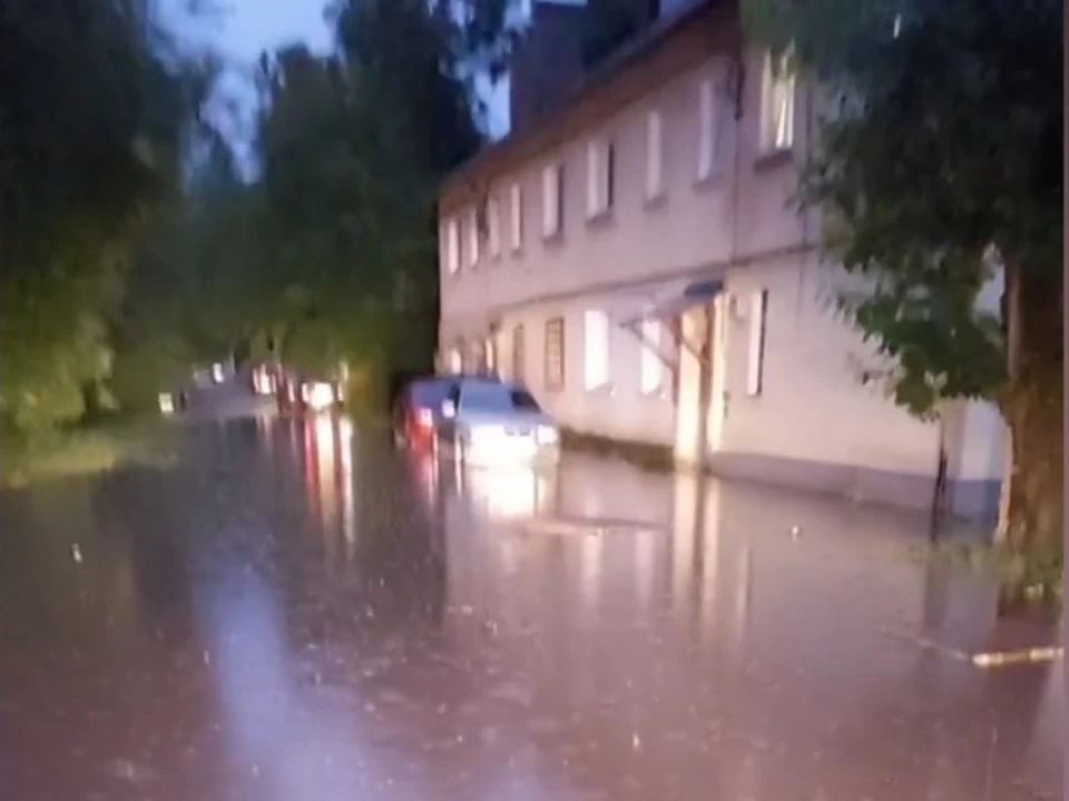 Кадр из видео, присланного в ОНФ.
