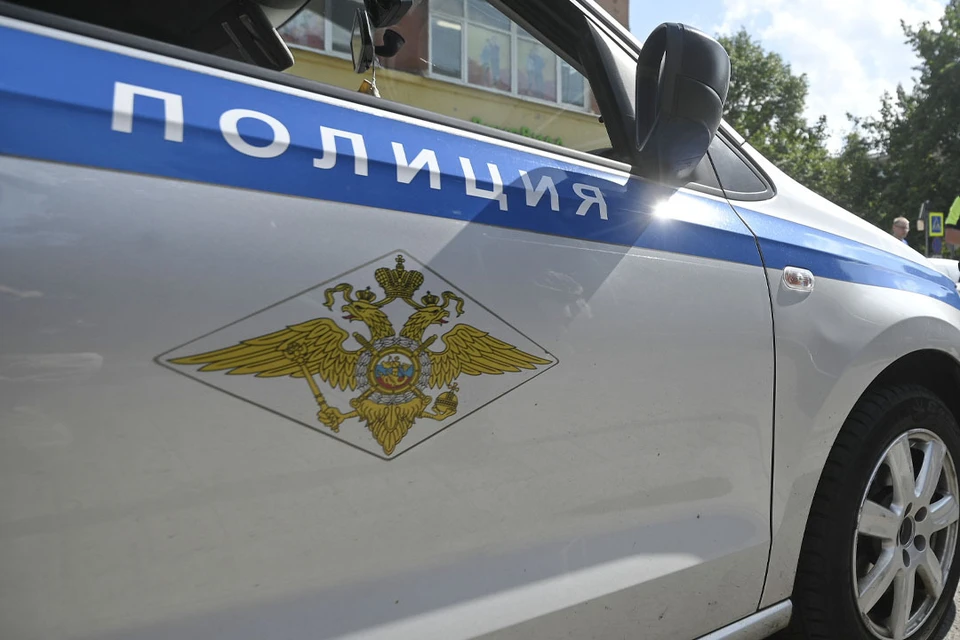 Блогера задержали за осквернение памяти погибших блокадников.