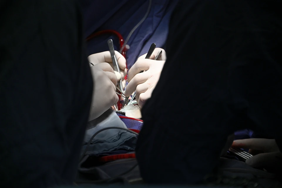 В Ингушетии девочка засунула руку в работающую мясорубку.