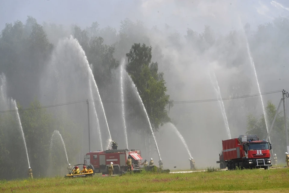 Пожарные встали на пути огня
