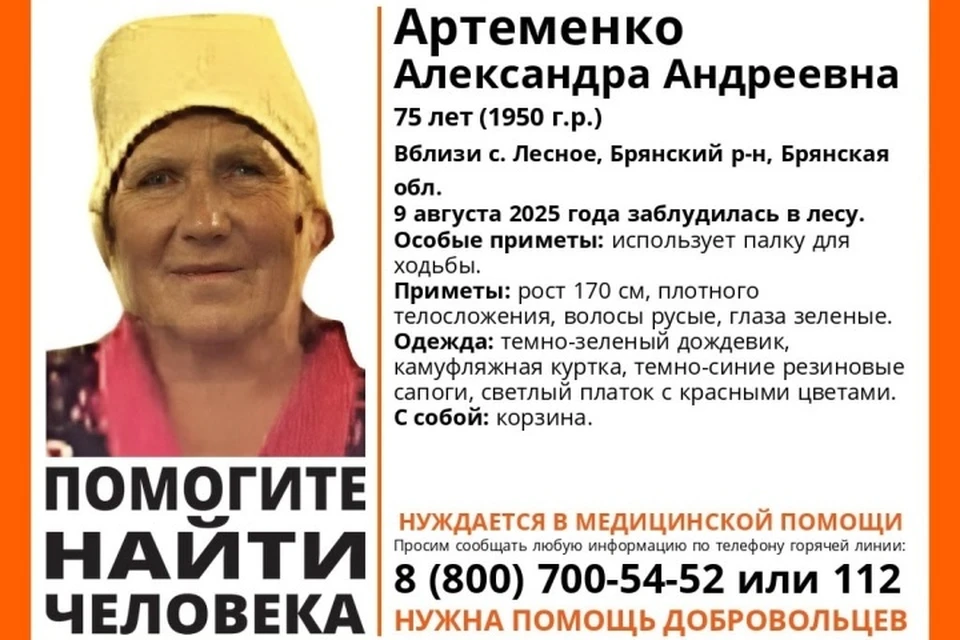 Фото: поисковый отряд "Лиза Алерт", ВКонтакте.