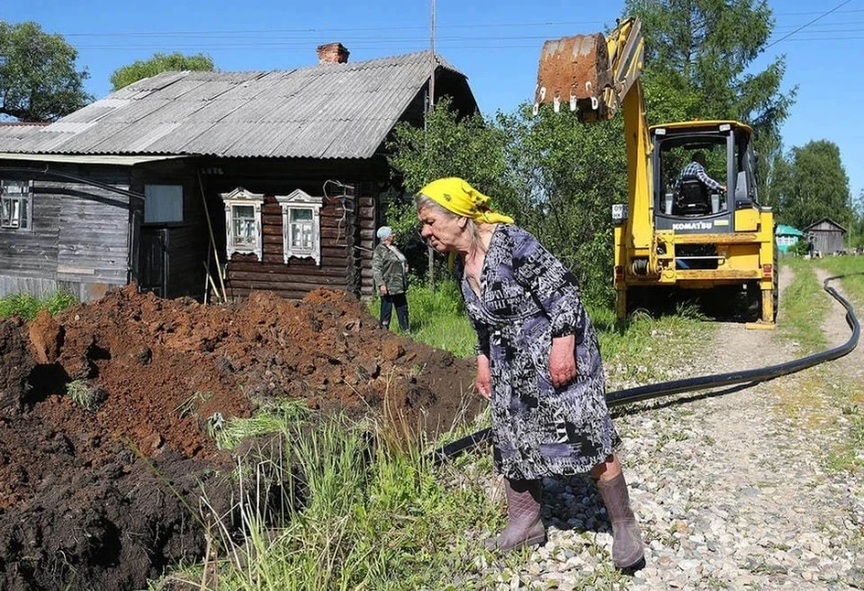 В России запретят вести бизнес на территории садовых товариществ с 1 сентября, фото: Владимир Смирнов/ТАСС