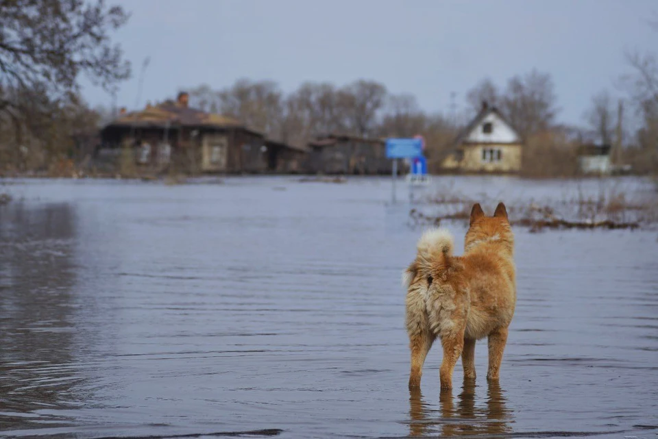 В Якутии фиксируют изменения уровней воды на реках